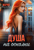 Обложка книги "Душа на осколки"