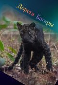 Обложка книги "Дорога Багиры"