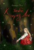 Обложка книги "К тебе через Лес"