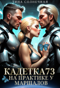 Обложка книги "Кадетка 73. На практике у маршалов"