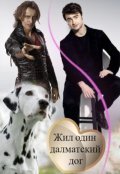 Обложка книги "Жил один далматский дог"