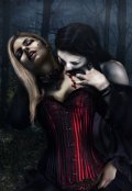 Обложка книги "Моя маленькая победа"