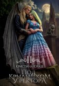 Обложка книги "Под крылышком у ректора 2"