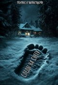 Обложка книги "Следы на снегу "