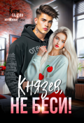 Обложка книги "Князев, не беси!"