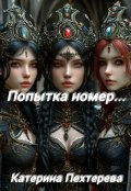 Обложка книги "Попытка номер..."