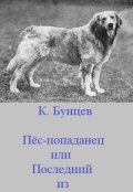Обложка книги "Пёс-попаданец, или Последний из меделян."