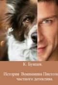 Обложка книги "История Вениамина Пистолетова, частного детектива."