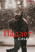 Обложка книги "Падает снег"