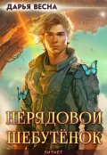 Обложка книги "Нерядовой Шебутёнок"