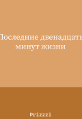 Обложка книги "Последние двенадцать минут жизни. "