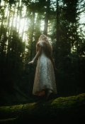 Обложка книги "Чувство"