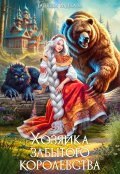 Обложка книги "Хозяйка Забытого Королевства"