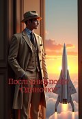 Обложка книги " Последний полёт "Одиночки""