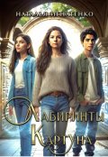 Обложка книги "Лабиринты Картуна"