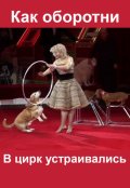 Обложка книги "Как оборотни в цирк устраивались"