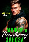 Обложка книги "Мажор и заноза. Ненавижу"