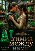 Обложка книги "Алхимики"