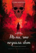 Обложка книги "Тьма, что познала свет "