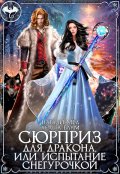 Обложка книги "Сюрприз для дракона, или Испытание Снегурочкой"