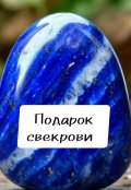 Обложка книги "Подарок свекрови "