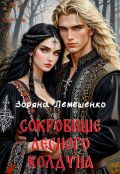 Обложка книги "Сокровище лесного колдуна"