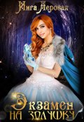 Обложка книги "Экзамен на Золушку"