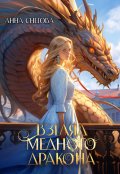 Обложка книги "Взгляд медного дракона"