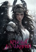 Обложка книги "Крылья валькирии"