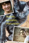 Обложка книги "Чудесно, волшебно, божественно..."