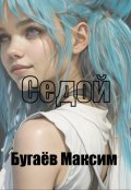 Обложка книги "Седой. Книга 1."