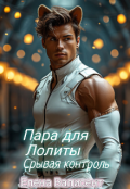 Обложка книги "Пара для Лолиты "