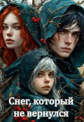 Обложка книги "Снег, который не вернулся"