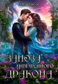 Обложка книги "Заноза для Лунного дракона"