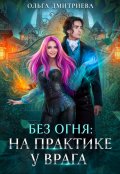Обложка книги "На практике у врага"