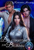 Обложка книги "Два строптивца для ведьмы"