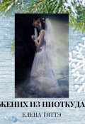 Обложка книги "Жених из ниоткуда"