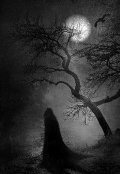 Обложка книги "Голос во тьме"