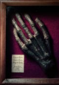 Обложка книги "La mano di gloria"