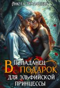 Обложка книги "Попаданец в подарок для эльфийской принцессы"