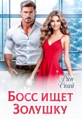 Обложка книги "Босс ищет Золушку"