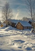 Обложка книги "Дарья и Кирилл"