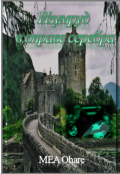 Обложка книги "Изумруд в оправе серебра"