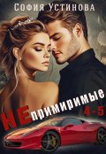 Обложка книги "Непримиримые 4-5"