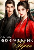 Обложка книги "Возвращение Луны "