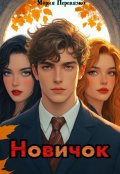 Обложка книги "Новичок"
