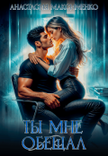 Обложка книги "Ты мне обещал... "
