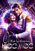 Обложка книги "Обжигающий космос"