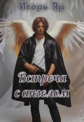 Обложка книги "Встреча с ангелом"