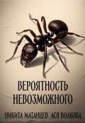Обложка книги "Вероятность невозможного"